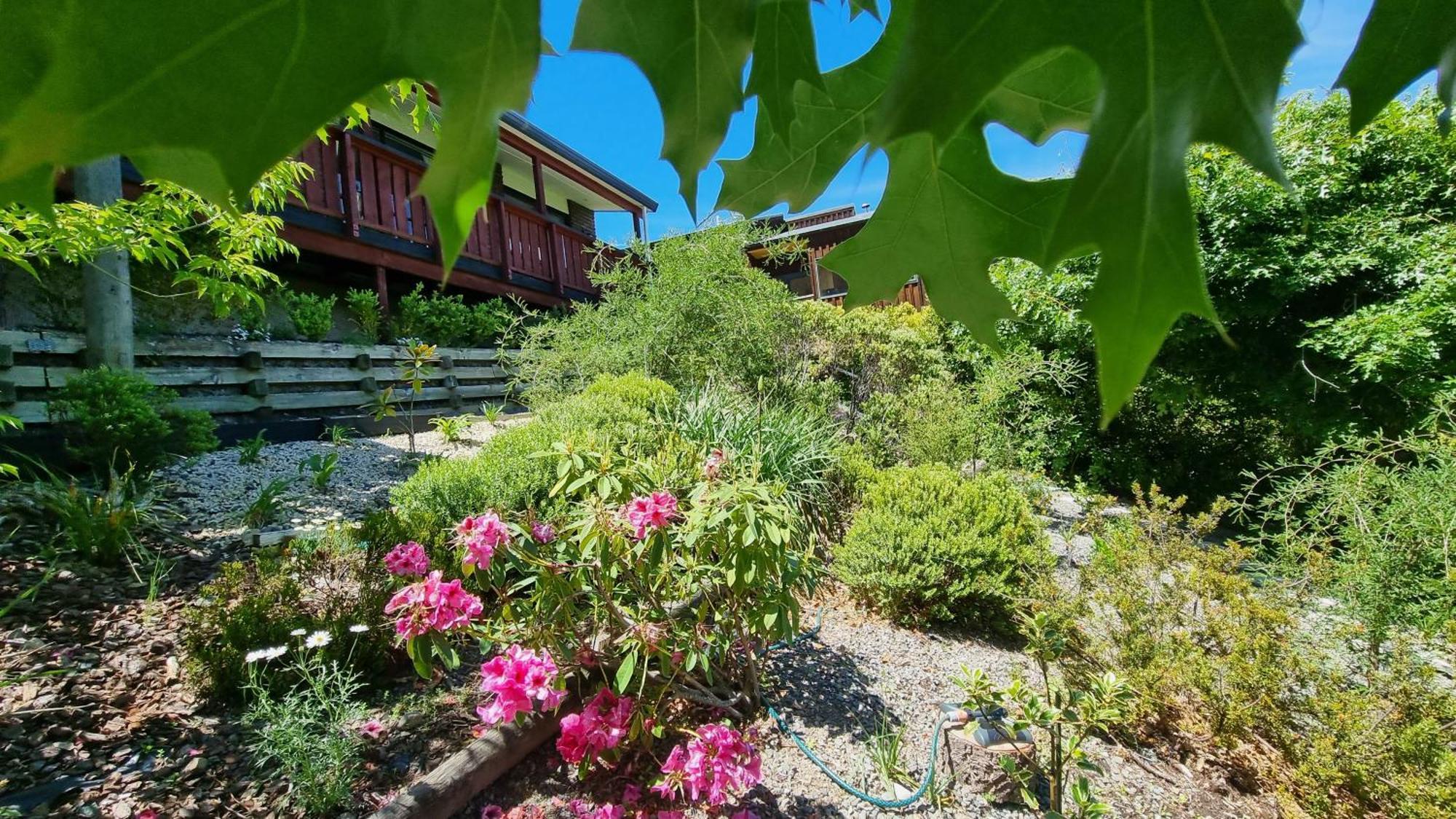 Villa 27 Alpine Avenue Hanmer Springs Exterior foto